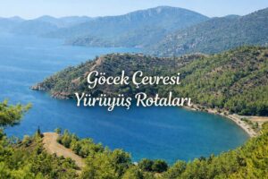 PHOTO 2026 01 23 14 04 58