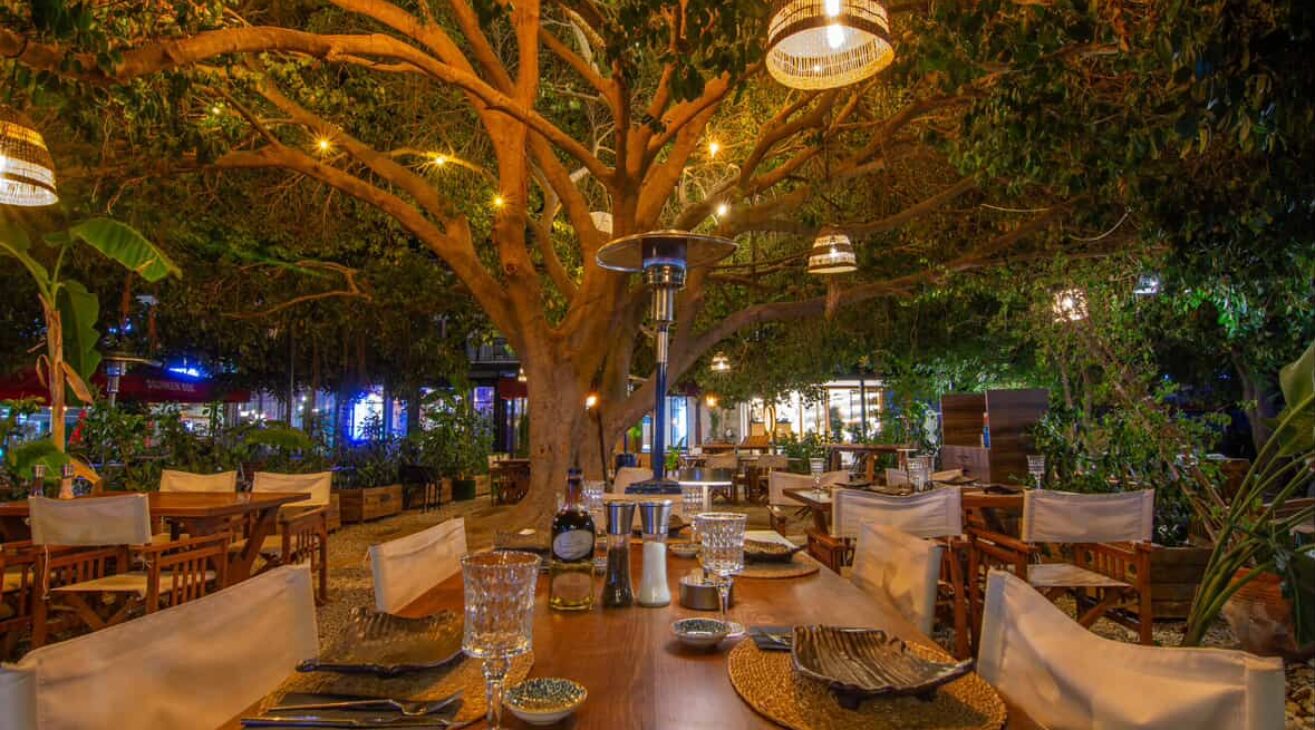 Sea Lounge Sushi & Restaurant Göcek