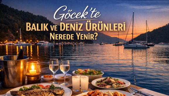 Adsiz 140 x 120 piksel 1344 x 768 piksel 5