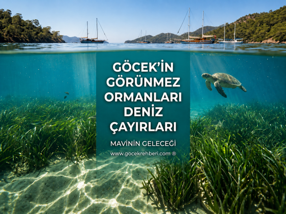 5037c90d e1a5 4c7f 801c 18a0354fe7e9