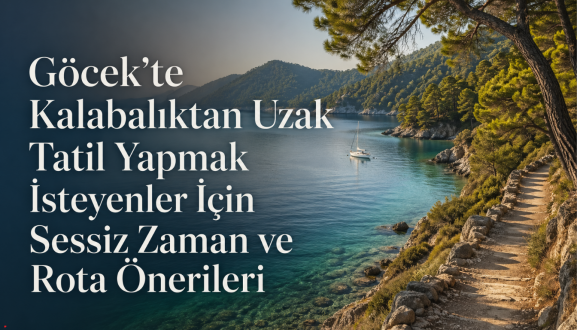 Adsiz 140 x 120 piksel 1344 x 768 piksel 4 2